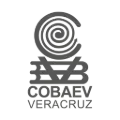 cobaev21.oficial